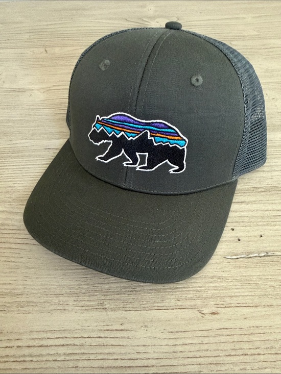 Patagonia Other - Patagonia Fitz Roy Bear Trucker Hat